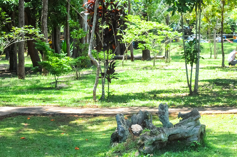 Parque Nacional de Brasília reabre acesso às piscinas