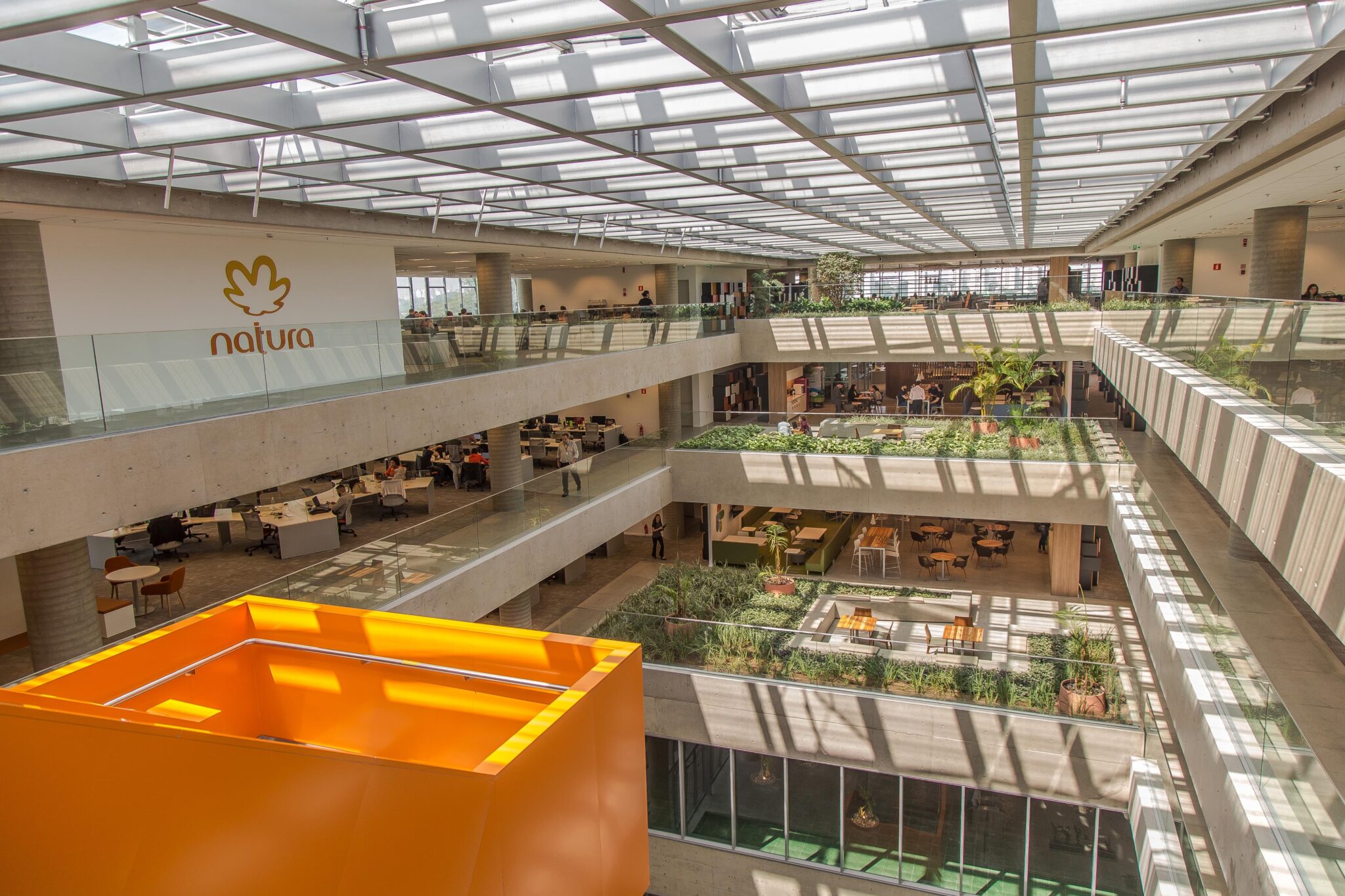 Natura lidera ranking de responsabilidade ESG no Brasil